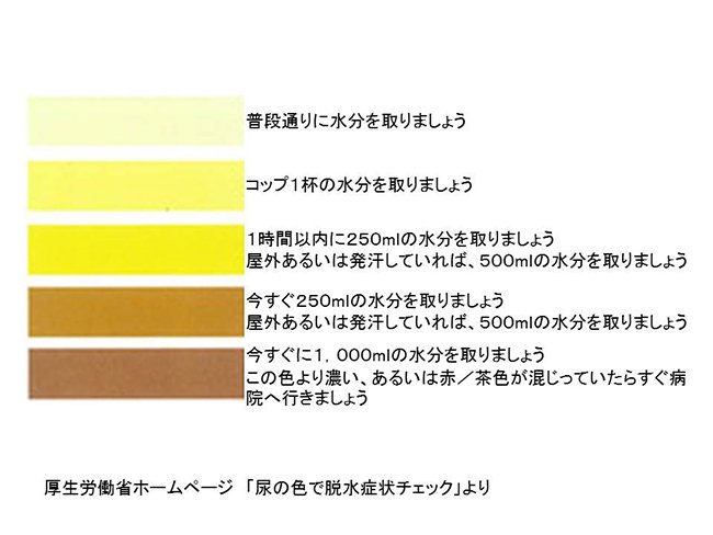 脱水症状の目安の鍵となるのはおしっこの色 陸自レンジャーの人から 自分の脱水限界を判断する方法 を教えてもらった話 Togetter 脱水症状の目安の鍵となるのはおしっこの色 陸自レンジャーの人から 自分の脱水限界を判断する方法 を教えてもらった話 Togetter