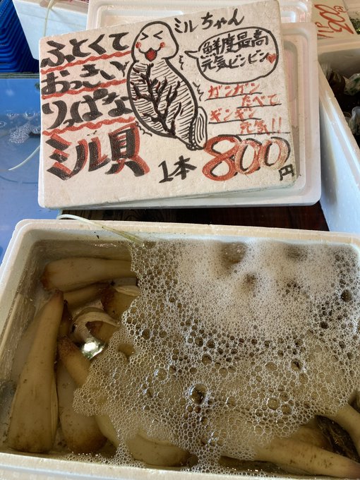 ちんちんですの!!!
これはまごうことなきTINTIN☆ですの!!!!!
漁師さまガンギマリですの!!! 