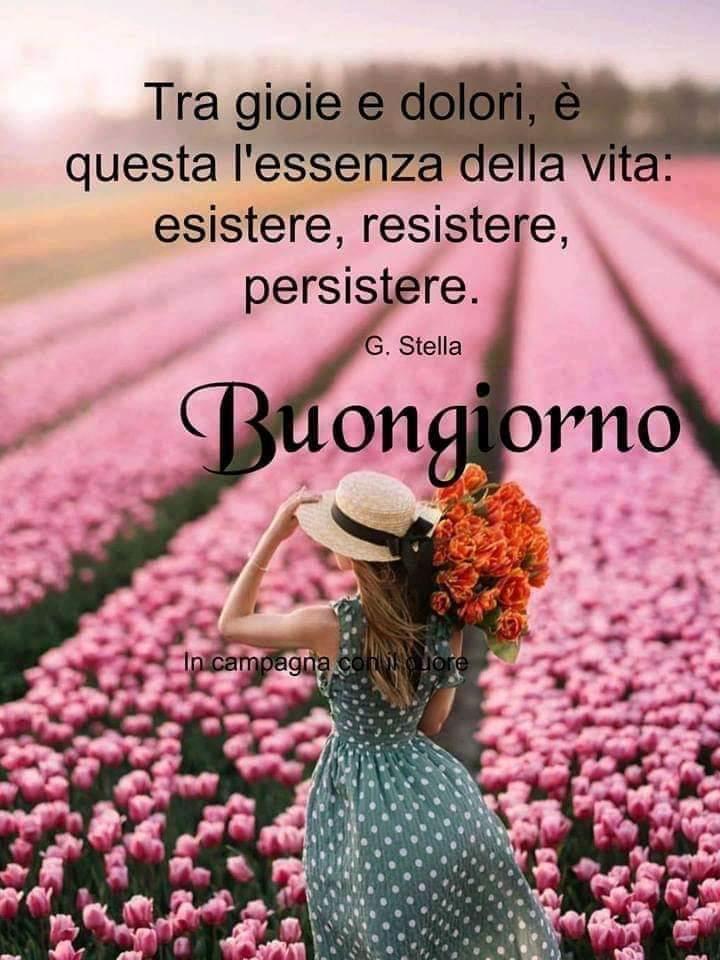 Rosaria (@rosaria28819372) on Twitter photo 