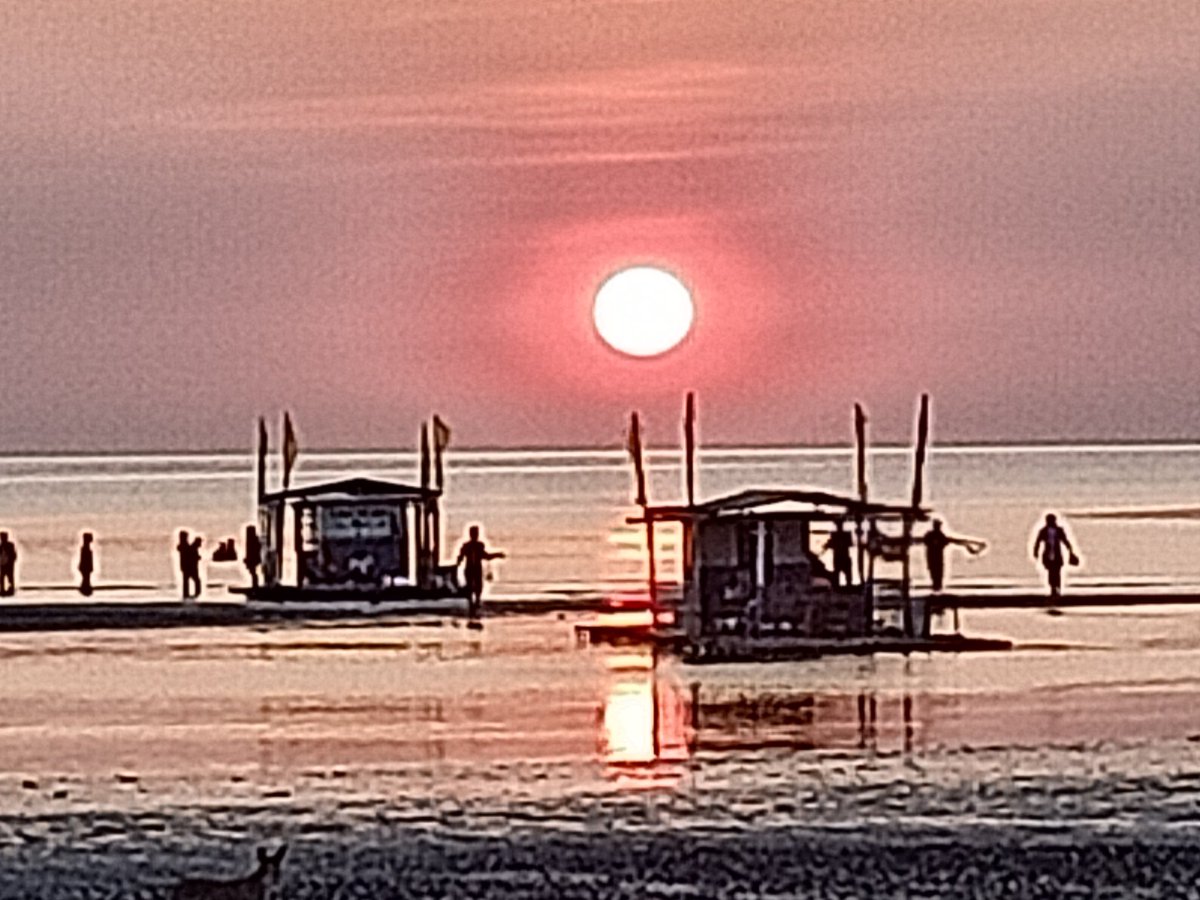 ArangkadaBalita's tweet image. An appeal to Pres. @RRD_Davao Spare 500 trees in @AtingNayon Filipino for the mega-vaccination facility of billionaire Enrique Razon. More trees are needed to minimize the oven-like heat index in our country. There are big domes, gyms in NCR. #SparetheTrees @UNClimateChange