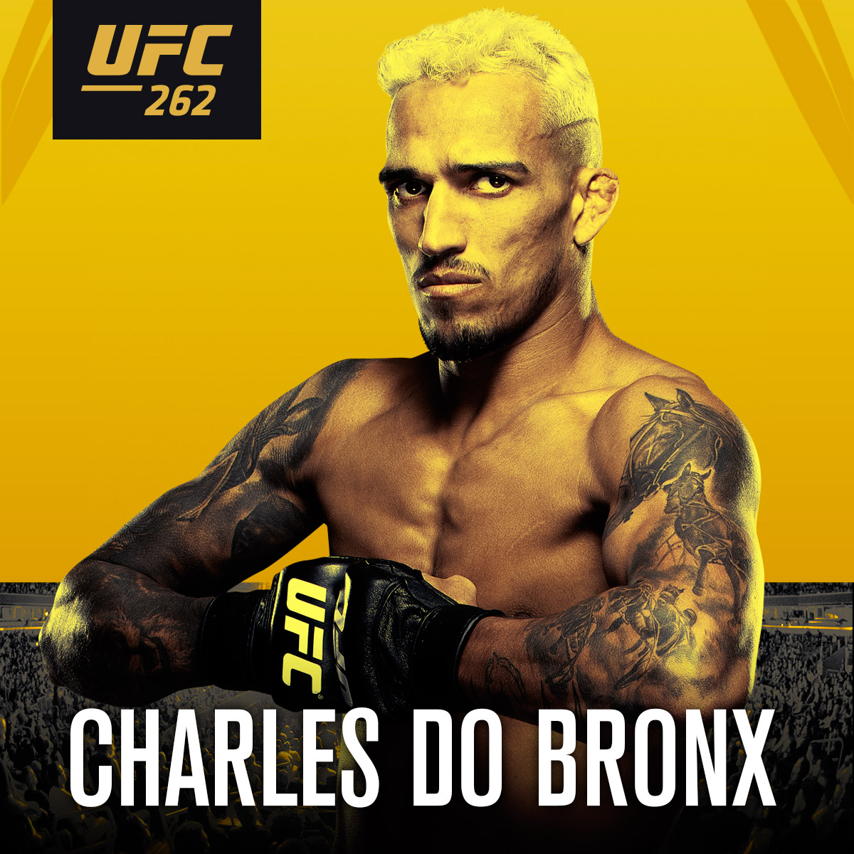 UFCBrasil's tweet image. TEMOS UM NOVO CAMPEÃO!!!

🇧🇷 @CharlesDoBronxs nocauteia Michael Chandler e conquista o cinturão do peso-leve no #UFC262.