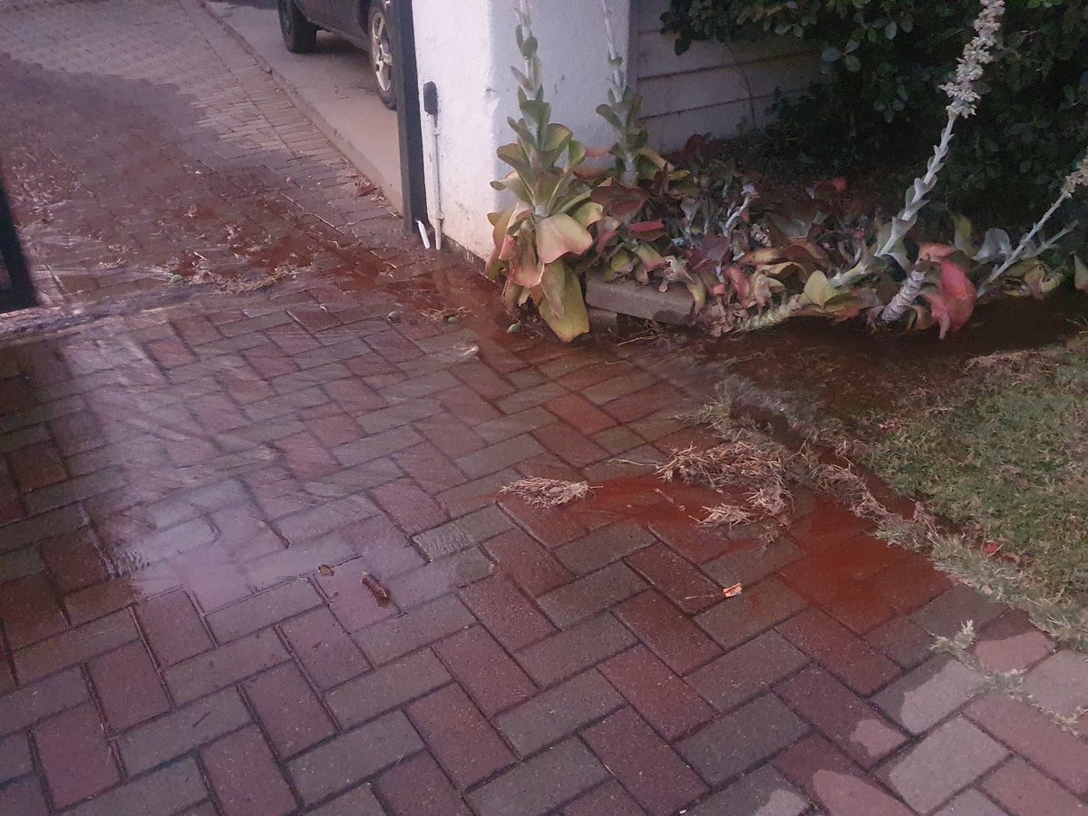 minjin's tweet photo. Burst watermain Blairgowrie drivr #WaterOutages https://t.co/mRb2ulongF