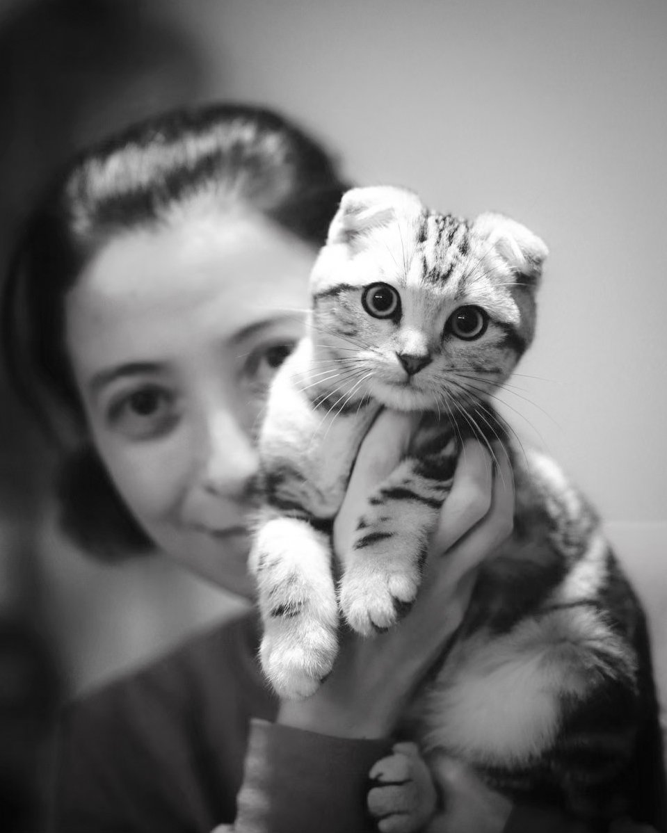 ルーチェとあそぼうや! tweet media