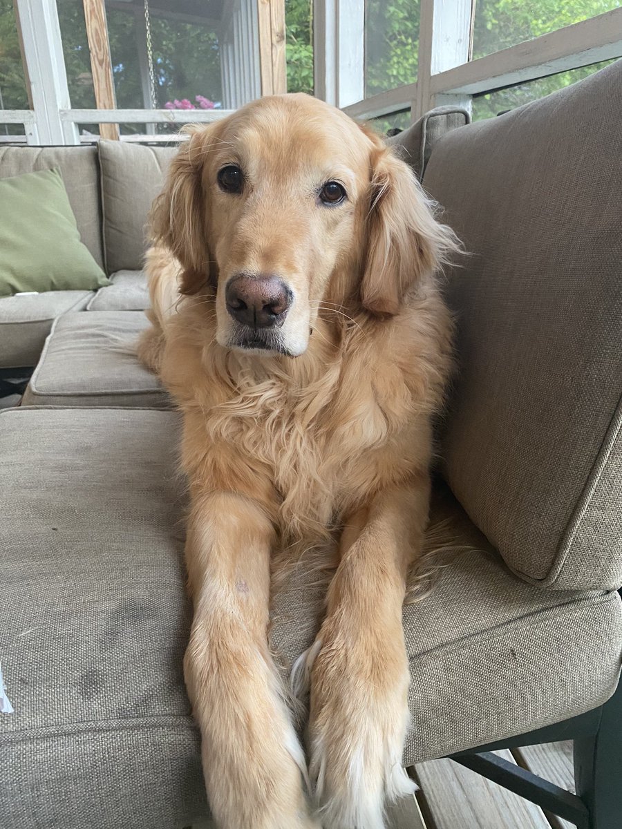 Katye Gayle tweet media