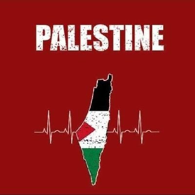 HnoSho0's tweet photo. #Gaza_Under_Attack Stay strong. ❤️🇵🇸😢 https://t.co/gbPMDi4NpU