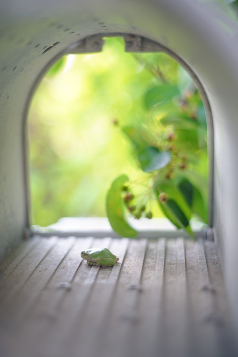 SEEINGPHOTOS's tweet photo. 日曜の朝に
#SIGMAfp #Takumar50mm 
#ColorMode #LandScape https://t.co/0GdxYcW4if
