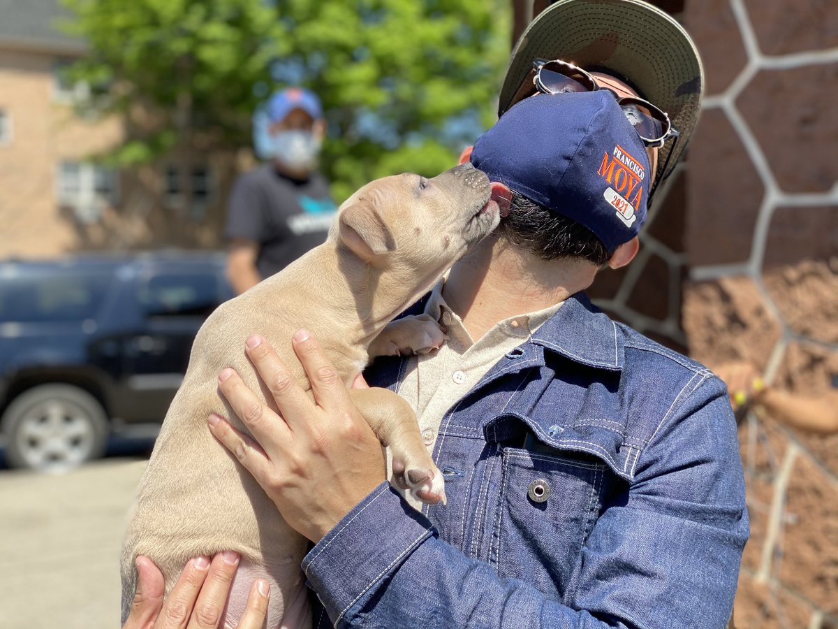 FranciscoMoyaNY's tweet photo. The PUParazzi were out today!!! Thank you to the amazing staff of @nycacc for taking great care of my furry neighbors, getting them vaccinated and providing dry food. Everyone left *feline* better.
๐ถ ๐ธ๐ฆฎ๐
#PetVaccination
#petfooddistribution
#dogvaccination
#catvaccination https://t.co/7iLpmSZpU4