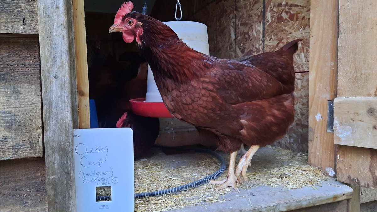 Stayce Webber tweet media