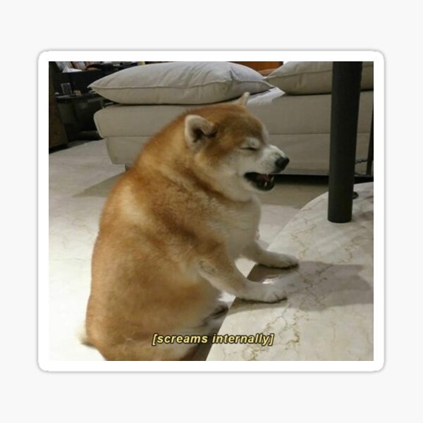 nendromeda's tweet image. No stream this week. see ya all next monday