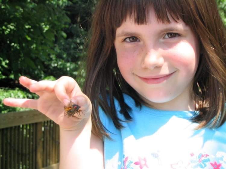 adeleclaree's tweet image. Almost that time again