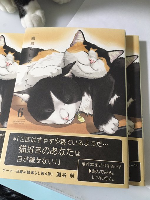 Twoucan 灘谷航 猫暮らしのゲーマーさん 7巻 1 18頃発売 Nadatani