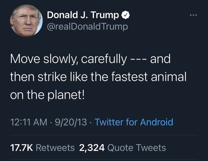 Viola Sweetsmelln tweet media