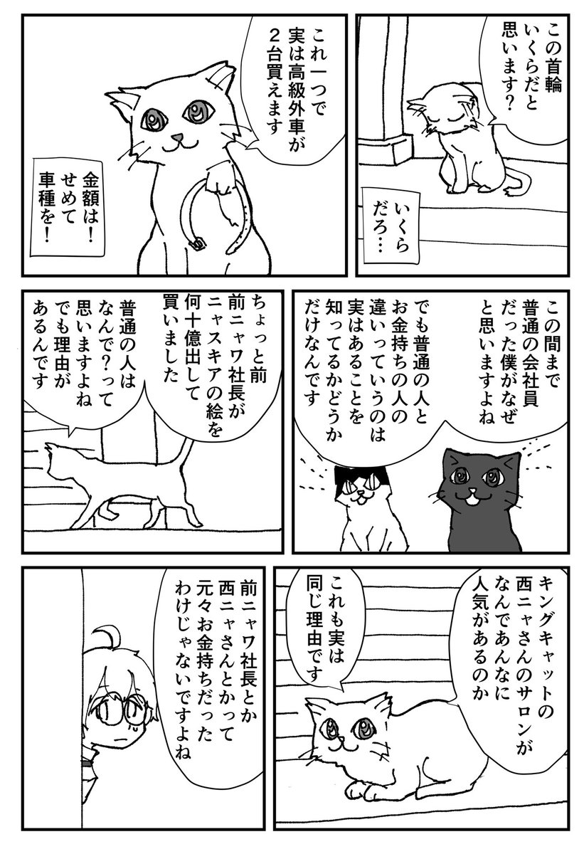 猫の集会を覗いてみた話 