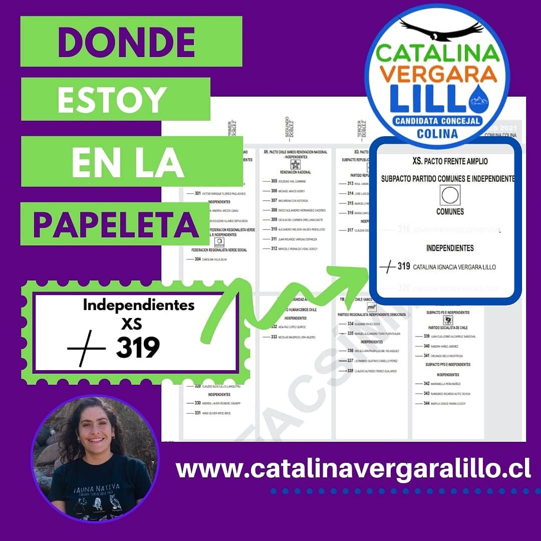 ColinaFeminista's tweet photo. 💜#COLINA queremos manifestar nuestro total apoyo a nuestra compañera @CataVergaraL candidata a Concejala quien con mucha valentía disputa este espacio de toma de decisiones y va a representarnos a todas/os/es quienes confiamos en ella y en todos sus años de trabajo territorial. https://t.co/WqgDZe1Usa
