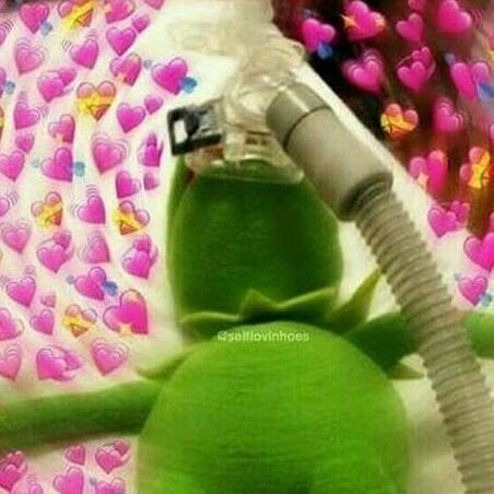 บอทน้องหลิกเยอะมาก​ ใจบางไม่ไหว