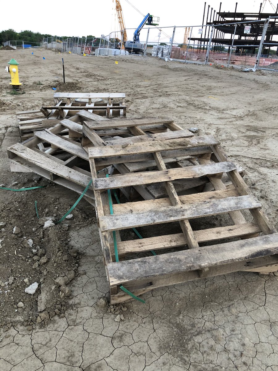 Wow. Just found about $8,000 worth of wood, just sitting out in the open, unprotected.