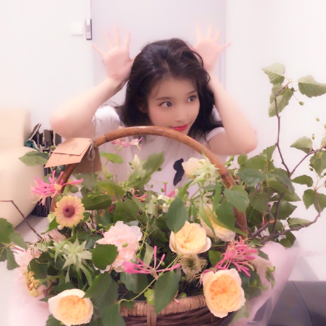 iLuvKoobi's tweet photo. happi birthday #YUURI and #IU !!
-
have the loveliest day, my
talented girls 💐 i luv u sm <3
-
#IU29thSpring
#지은이의_스물아홉번째_봄
#OurLilacIUDay
#YuuringoDay
#해피유우쨩데이 https://t.co/Euxpl5HvSx