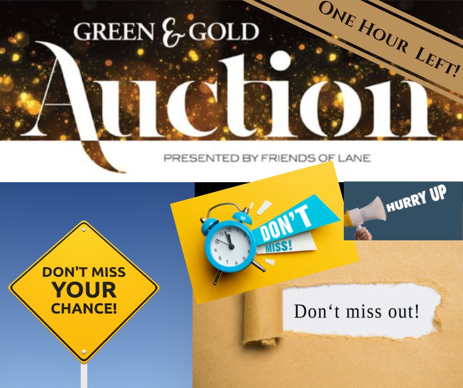 dburdenski's tweet photo. @FriendsofLane1 So many items! So little time! One hour left to bid! The 2021 Lane Tech Green &amp; Gold Auction ends at 10pm. Click here: https://t.co/6lCAlSaxUv

#FriendsofLane #LTGreenGold2021 https://t.co/syP8KEcbR8
