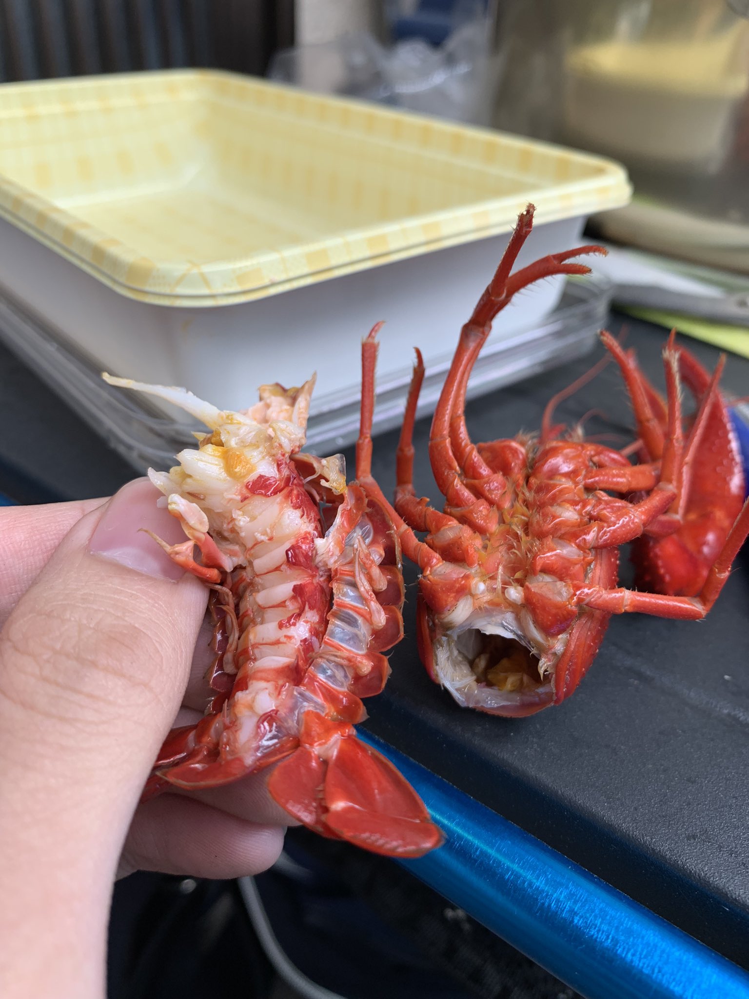 大童 澄瞳 Sumito Oowara ザリガニうめー 近所の中学生が釣ってきたやつ食ってる T Co Dximotz6jb Twitter