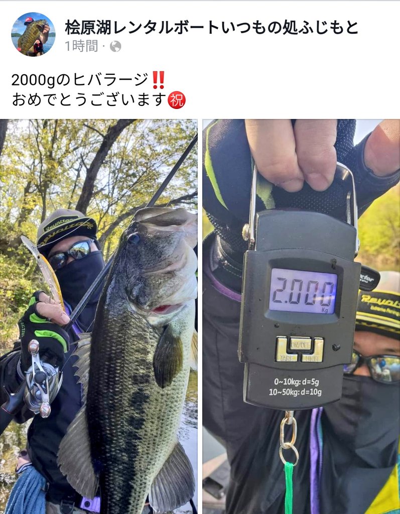 Green 6 On Twitter 5月15日 土 檜原湖 会社の仲間内のバス釣り対決 ラージ51 41 スモール35 36 36 計５本 モチロン 優勝 桧原湖 檜原湖 バス釣り スモールマウスバス ランカー 5月15日 レンタルボート いつもの処ふじもと Https