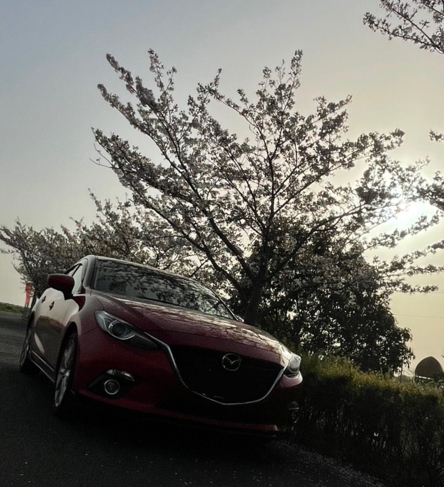 アクセラセダン Twitter Search