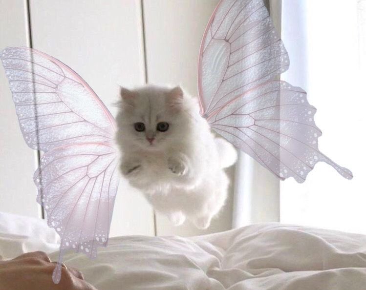 ถึง @kurijaeminx 🤍

: เธอตื่นรึยังคะ ได้กินอะไรยัง ขอให้เริ่มต้นวันใหม่ด้วยการตื่นมาเจอความสดใสแล้วได้กินของโปรด เจอสิ่งใหม่ๆที่ดีกับเธอ ให้ทั้งวันมีแต่รอยยิ้มนะคะ แล้วก็วันนี้อย่าลืมยิ้มให้ตัวเองด้วยนะ🧺☁️