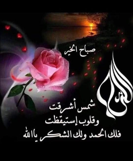 Bafaqir2's tweet photo. https://t.co/mYPVPz3Tli