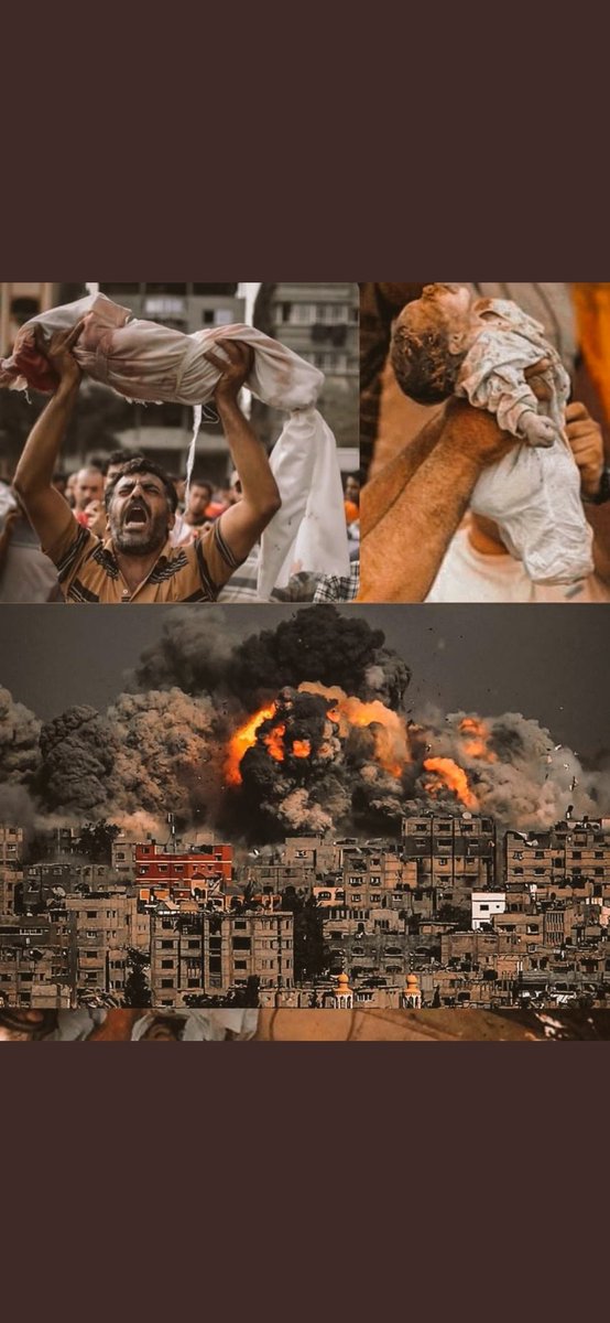 karimazerrouki4's tweet photo. #فلسطين_تقاوم
silence ! Israël bombarde les palestiniens ils ont une carte blanche de la part de l'Occident 🙂 
#FreePalaestine #IsraeliTerrorism #SavePalestine #FilistinYalnizDegil #القدس #القدس_عاصمة_فلسطين_الأبدية #فلسطين_تنتصر #فلسطين_تقاوم #فلسطين_قضيتي #غزة_الآن #Ghaza https://t.co/LGPEF1qwiy