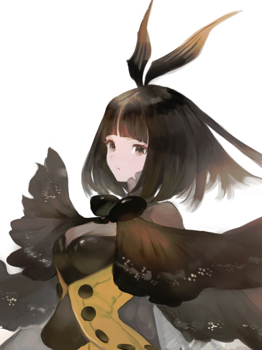 みけぼし Mikebosi Twitter みけぼし Mikebosi Twitter