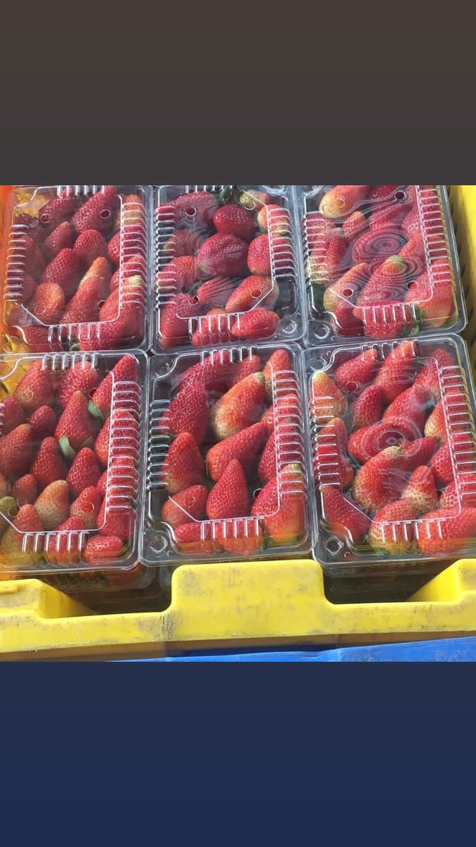 liss_strawberry's tweet photo. #ordenaya #deconstanzaatucasa #lissstrawberry #RepublicaDominicana #MarcaPaisRD https://t.co/6flx0J8Oha