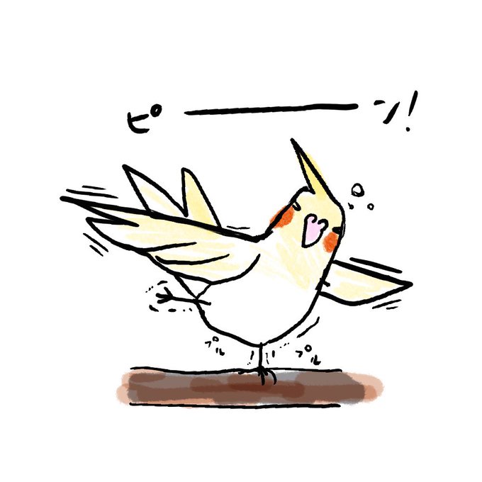 オカメインコのtwitterイラスト検索結果 オカメインコのtwitterイラスト検索結果