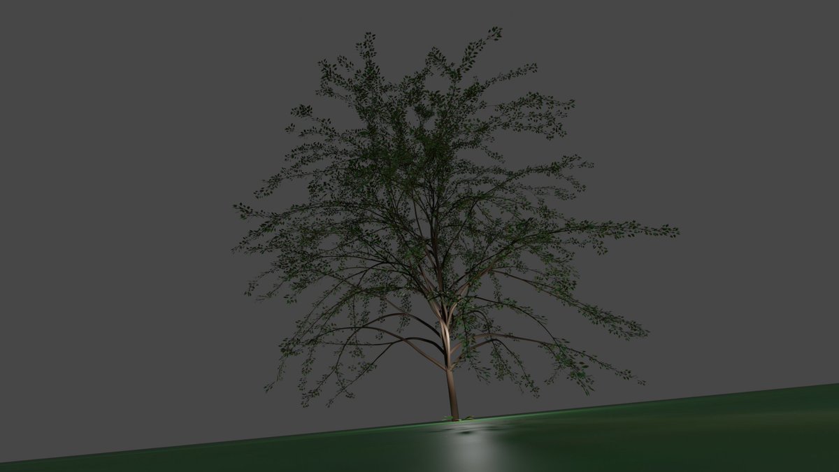 W0H0Y0R0WO's tweet image. blenderで木生やしてみた。
#ModularTree
#blender 
#3DCG
