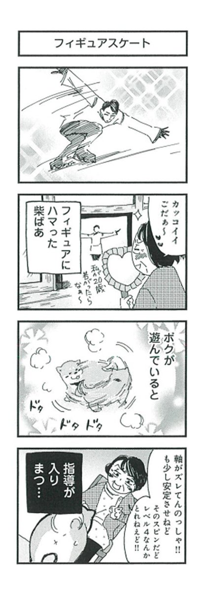 👵柴ばあと豆柴太の4コマ漫画⑨🐶

「フィギュアスケート」
「下着ドロボーの犯人」

#4コマ #4コマ漫画 
#柴犬 #犬  #豆柴 #フィギュアスケート 