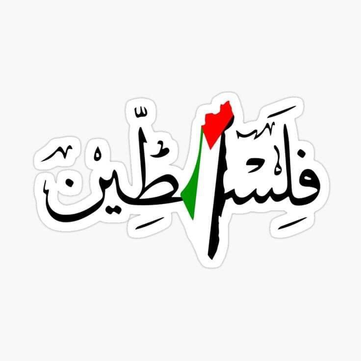 Do3a_hamdy's tweet photo. #مصر_تنصر_فلسطين #GazaUnderAttack 🇵🇸♥️💚 اما نحن أو نحن https://t.co/xL30FjlUCq