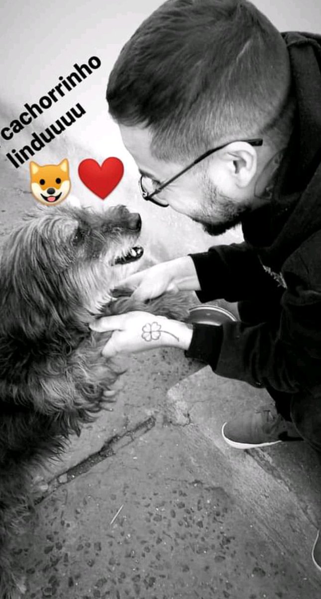 alvinhocosta's tweet photo. Relembrando essa foto linda com meu dog fofo

🐶

#meudog #amomuito #filho https://t.co/JLkyZ2uADv