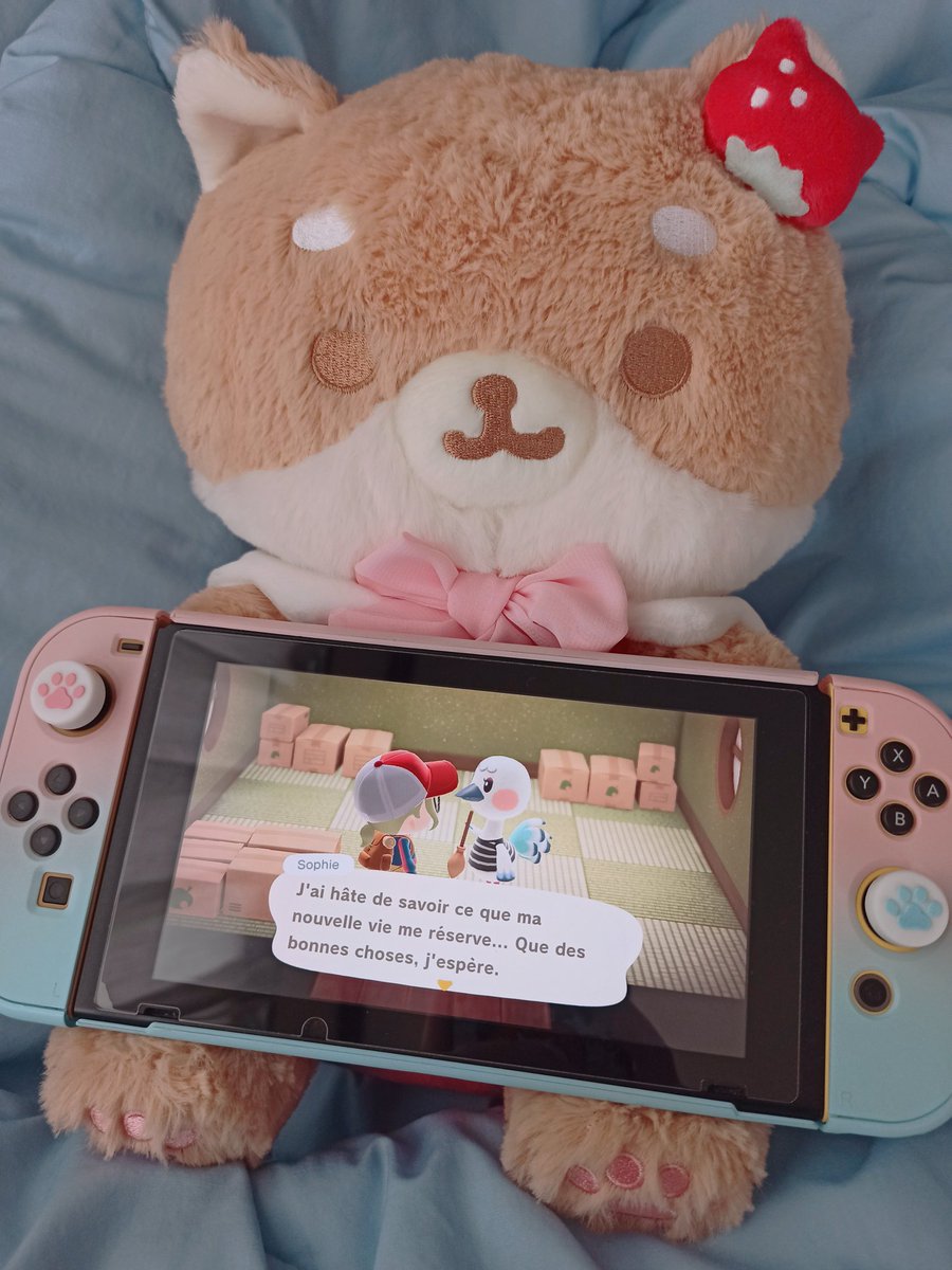 sayuumin's tweet photo. Sophie s'en va pour laisser place à Rocky quelqu'un la veut ? (´･ᴗ･ ` ) #ACNH #AnimalCrossingNewHorizons  #ACNHEntraide #acnhvillagertrade https://t.co/FgF7rGDLNv
