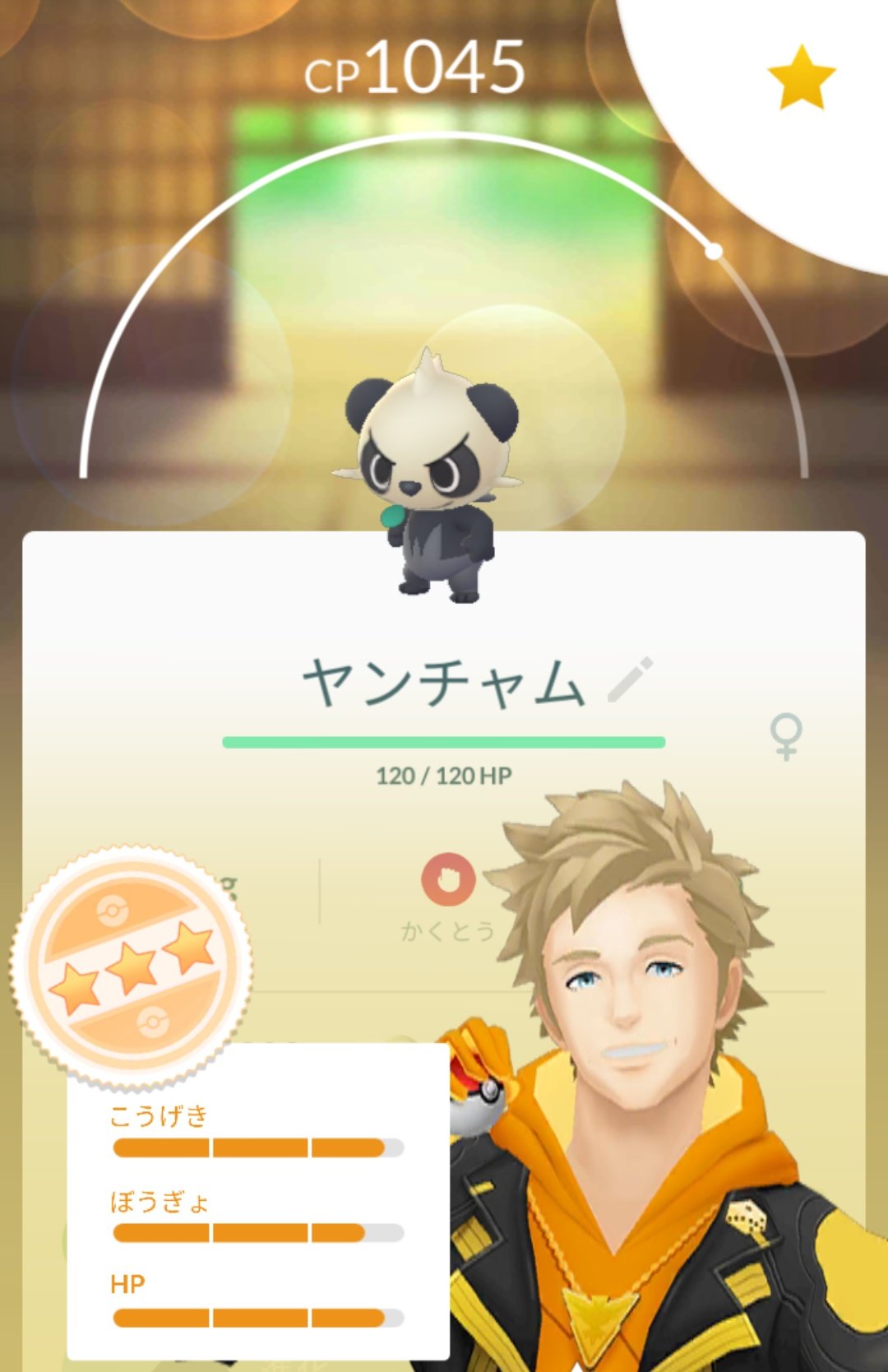Momomomomomomo ヤンチャムかわいい 実装うれしい 進化条件むずかしい ポケモンgo ヤンチャム T Co Bvo5ozfwii Twitter