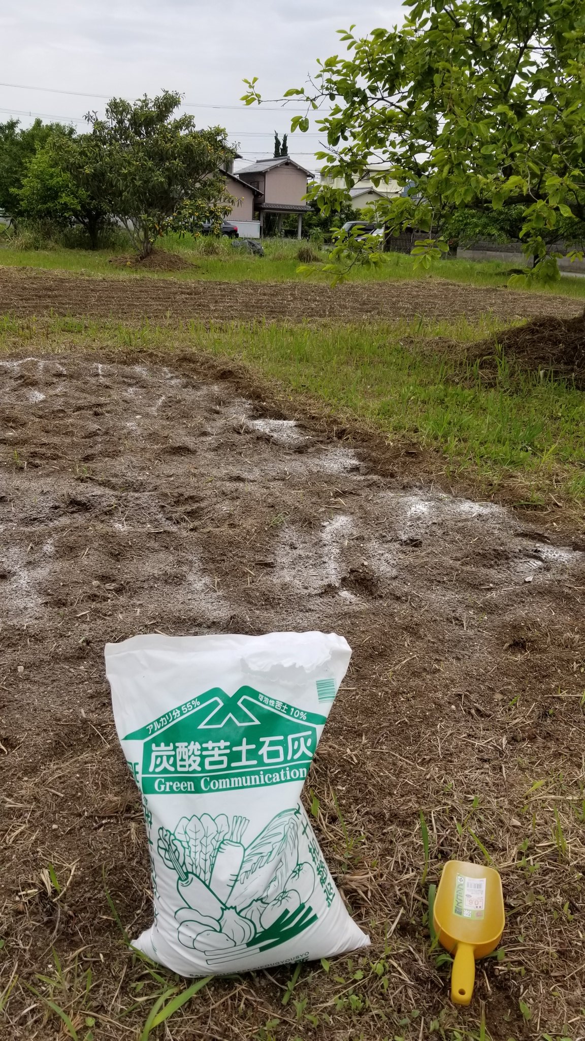 苦土石灰 Twitter Search Twitter