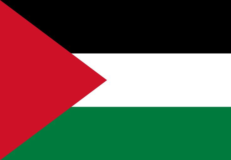 weehalfpintt's tweet photo. The world will only be a better place when grown ass adults STOP EXCUSING the murder of brown skinned children with no say in their religion or where they live. 
Not mincing words with you scum anymore, we see your delight at their extermination! 
#NotTodayColoniser #CallItOut https://t.co/6II0cGzyo1