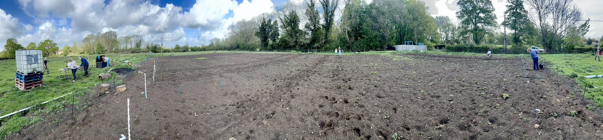 CoVegUK's tweet photo. Great morning for planting! https://t.co/J9kXR3fXOr