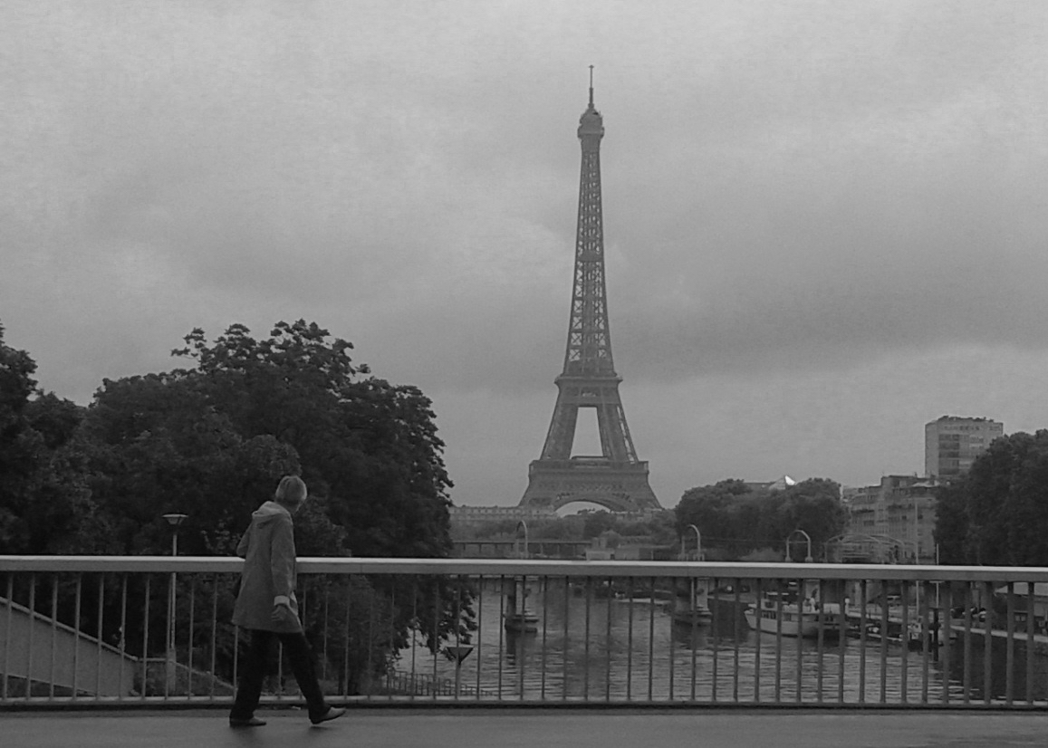 La photo du dimanche. "En fond, la tour" (Série "Quel temps fait-il à Paris ?")🦔📷