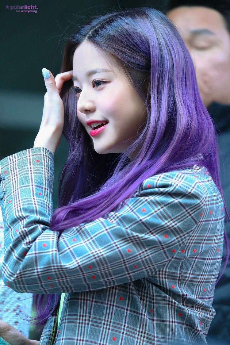 hourly wonyoung tweet media