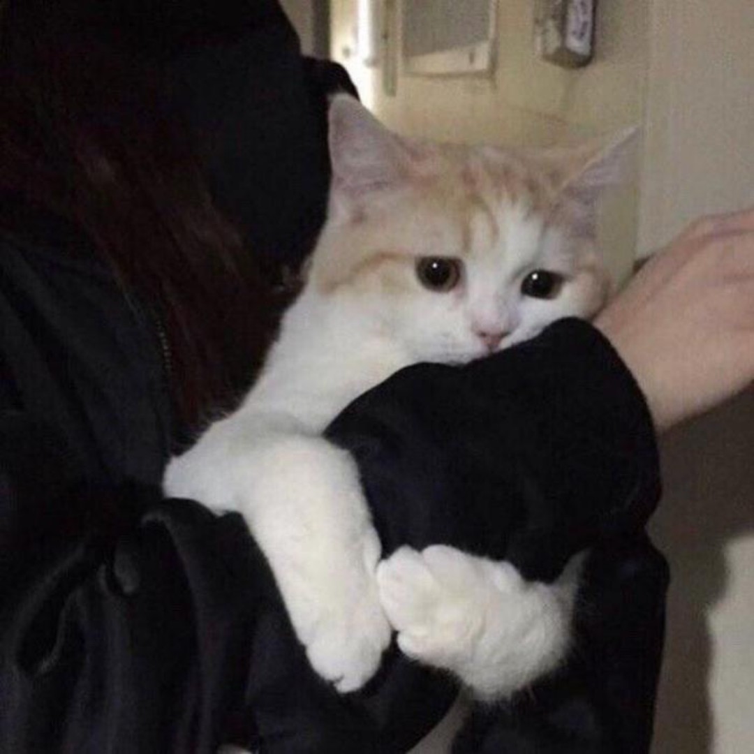 เหนื่อยมักๆขอกอดหน่อยได้มั้ยคะ:(

Rt = ff
Dm = 💜🌻

#บอทโสด #บอทหาเดมประจำ #บอทใหม่หาทุกอย่าง #บอทเหงา #บอทหาเพื่อน #บอทโสดหาคนคุย #บอทหาเพื่อนคุย #บอทหาเดมประจํา #บอทหาแฟน #บอทหาทุกอย่าง #บอทหาเมีย #บอทหาผัว #เรียลมัธยม #ยืมเมจfortalk #บอทใหม่