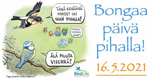 Varis kävi ihmettelemässä pihan uutta hyönteishotellia. 
#BongaaPäiväPihalla #PelastaPörriäinen #BirdLifeSuomi 
birdlife.fi/tapahtumat/bon…