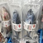 猫へのお土産!リアルな魚のぬいぐるみの中身は無農薬またたび100％!