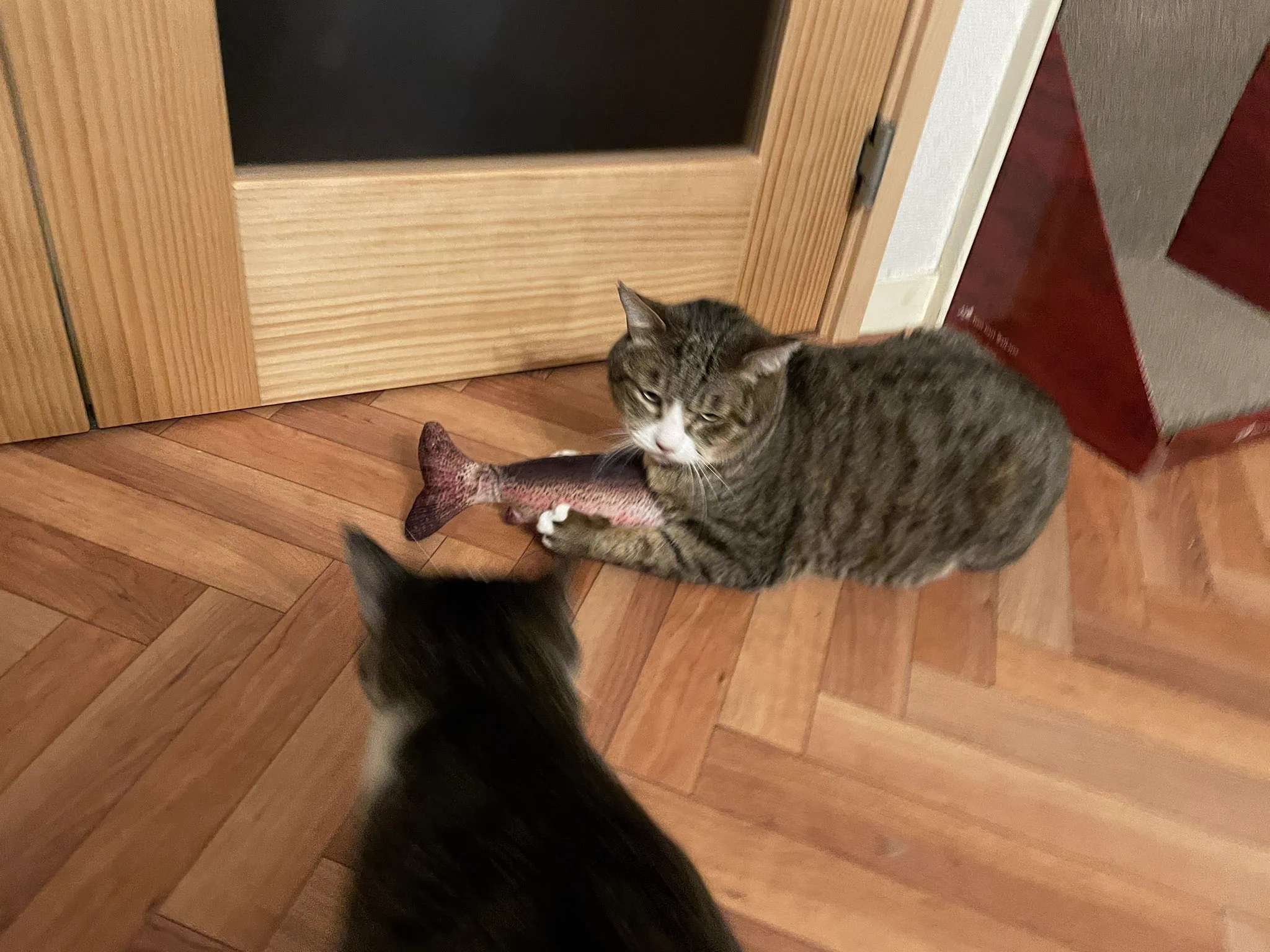 猫へのお土産！リアルな魚のぬいぐるみの中身は無農薬またたび100％！