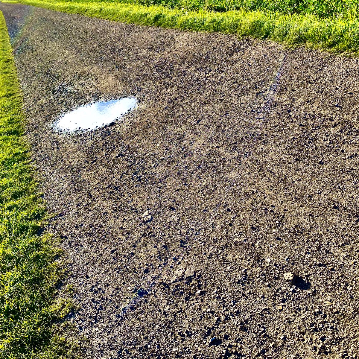 AngelGurriaQ's tweet photo. Fens
Fenlines
Fenlands
Farmlands
#Outside #Cambridge #ThisIsCambridge https://t.co/mzEy5dupYp
