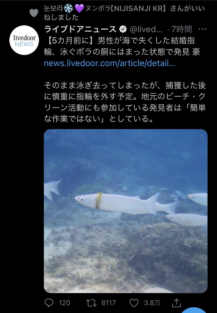 ごあんぜん V Twitter ボラちゃん ボラ という単語でエゴサして 手当たり次第にイイネ押してる説が出てきた