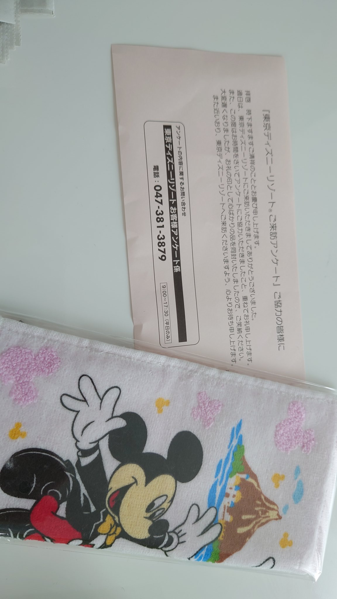 ディズニーアンケート Twitter Search Twitter