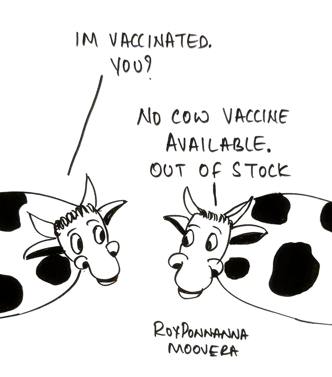 royponnanna's tweet photo. #animalcartoon #cowcartoon #VaccineShortage #cartoon https://t.co/svIkXDaw2s